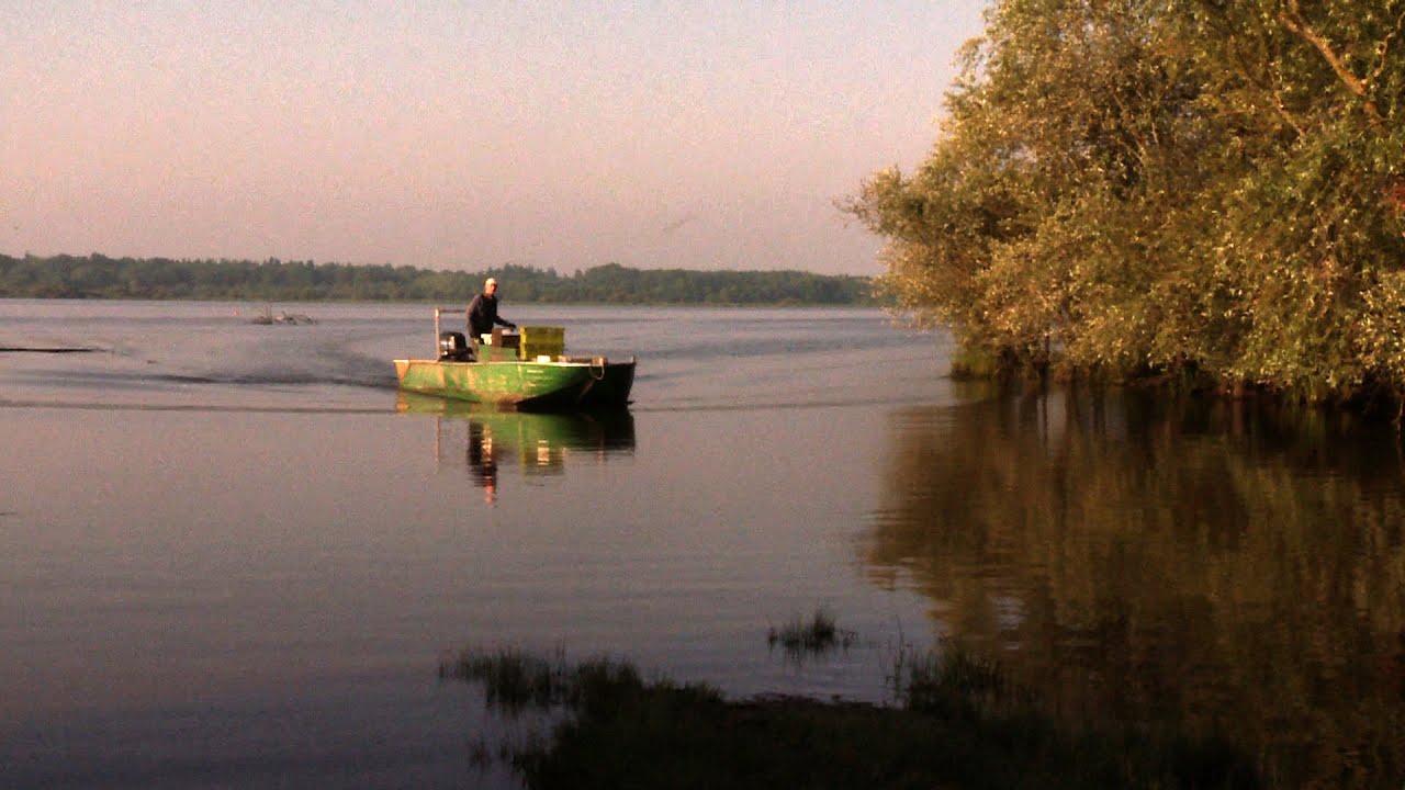 reportage : le lac de Grand Lieu