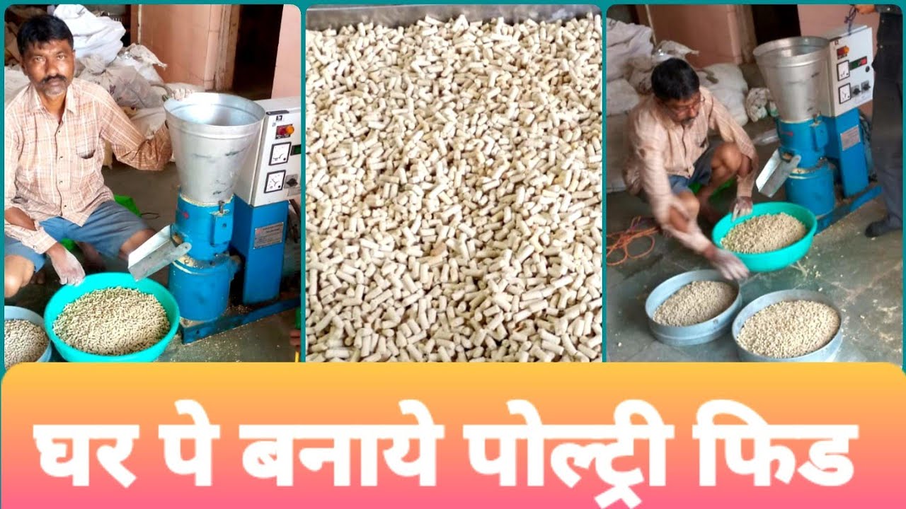 Poultry Feed Making Machine l 100 kg Feed in 1 Hour l