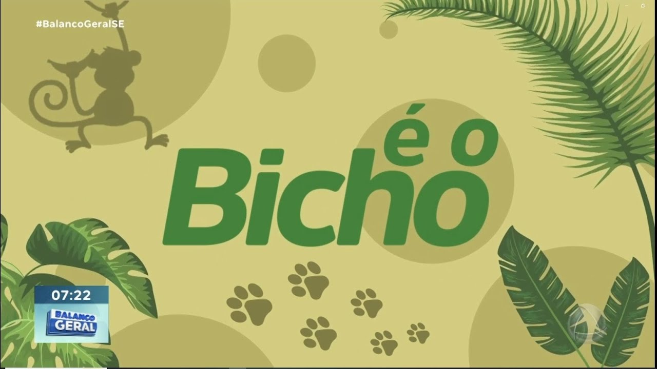 &Eacute; o bicho confiara os pets dos telespctadores - BGM