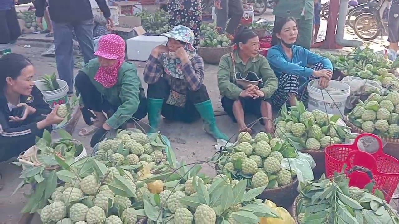 Cập nhật giá Na ở đông bành Lang Sơn