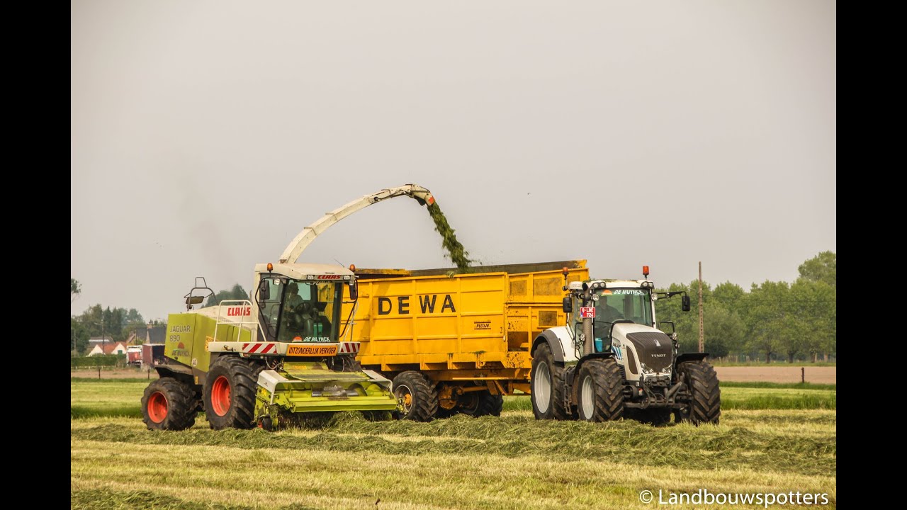 Claas Jaguar 890 gras hakselen 2014 - Peltijn uit Hansbeke