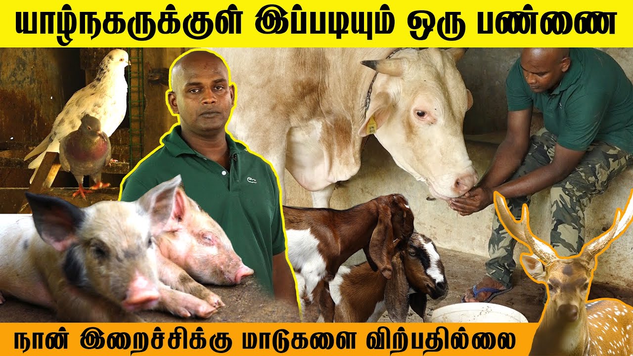 யாழ்நகருக்குள் இப்படியும் ஒரு முயற்சியா? | Integrated farm | Nallur | Jaffna