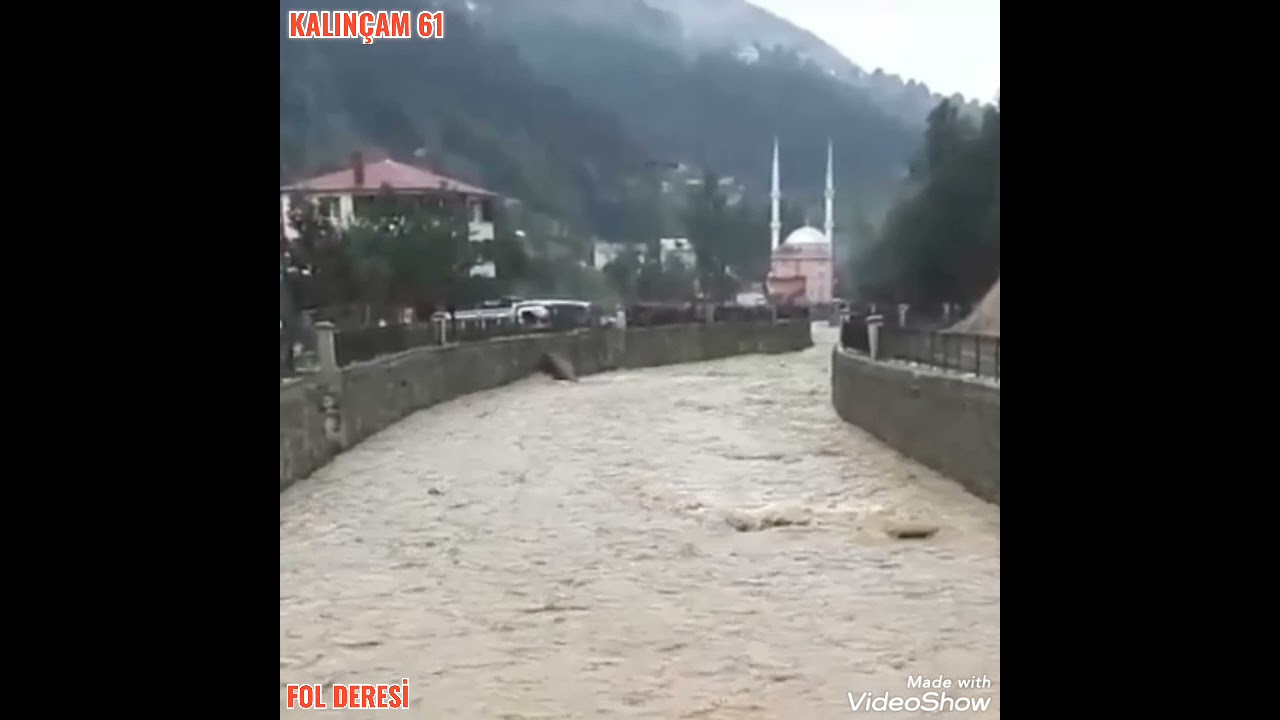 KALIN&Ccedil;AM 61 🌲🌍🇹🇷🌲🌲🌲 03.10.2021 FOL DERESİ
