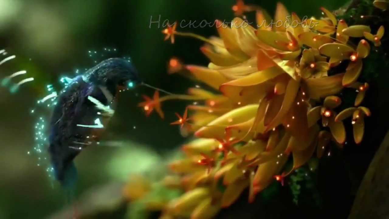 Любовь и Время... (Love and Time)