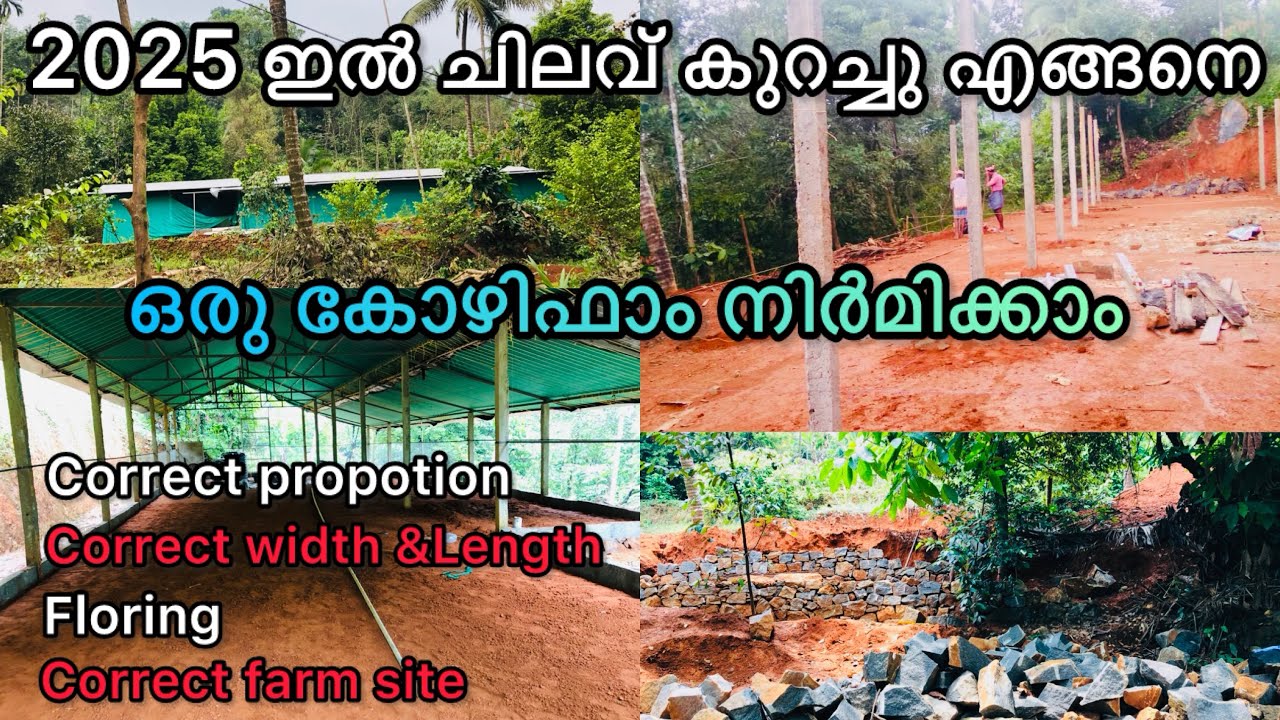 2025 ഇൽ  ചിലവ് കുറച്ചു എങ്ങനെ ഒരു കോഴിഫാം നിർമിക്കാം #youtubevideos #recommended #howto #broiler