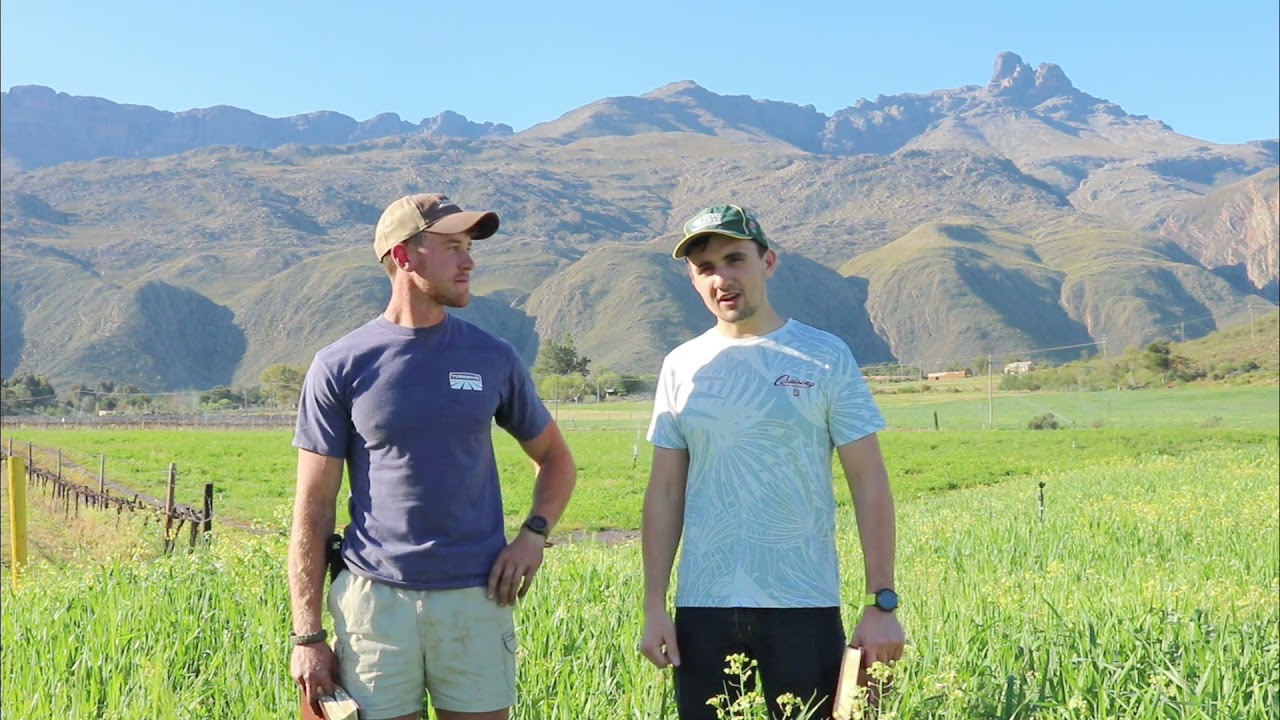 We Challenge You!!✝️