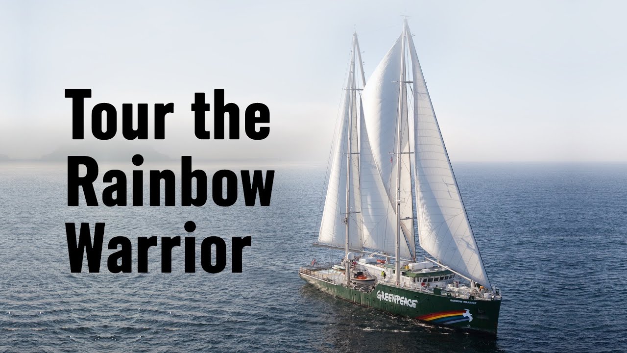 A tour of the Rainbow Warrior ship!