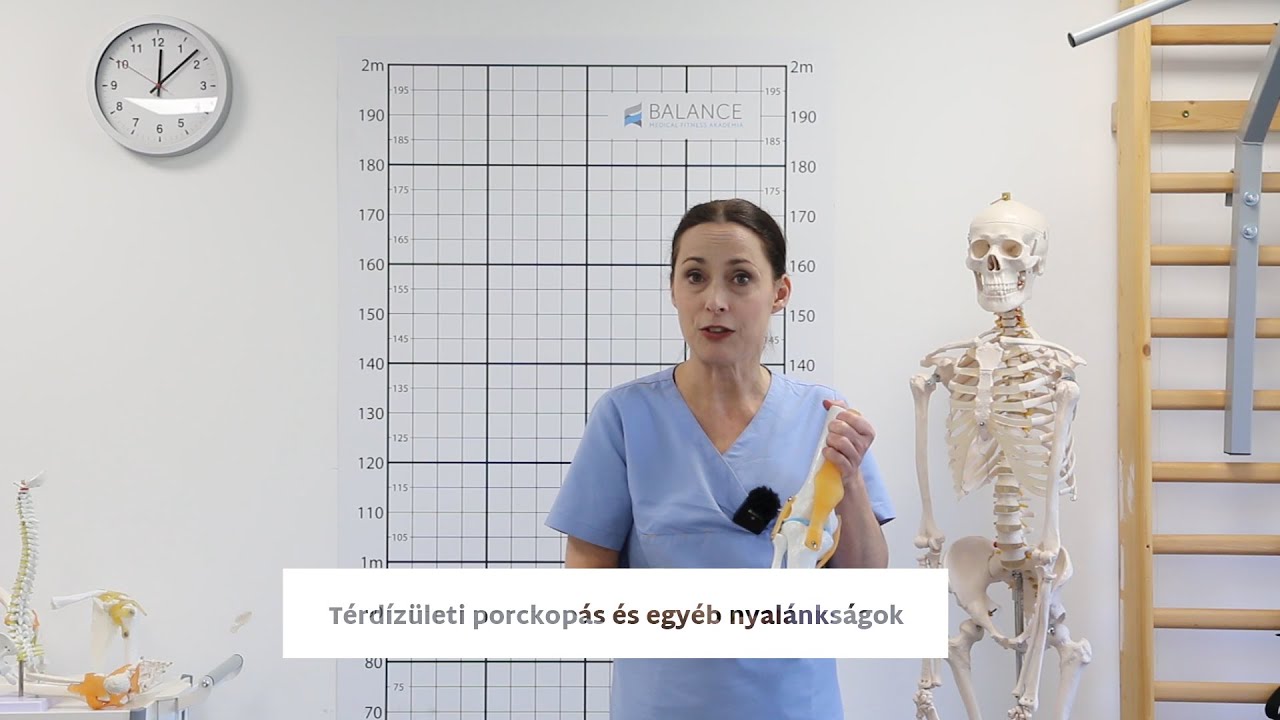 Térdízületi porckopás és egyéb nyalánkságok  - Miért alakul ki és mit tehetünk ellene?