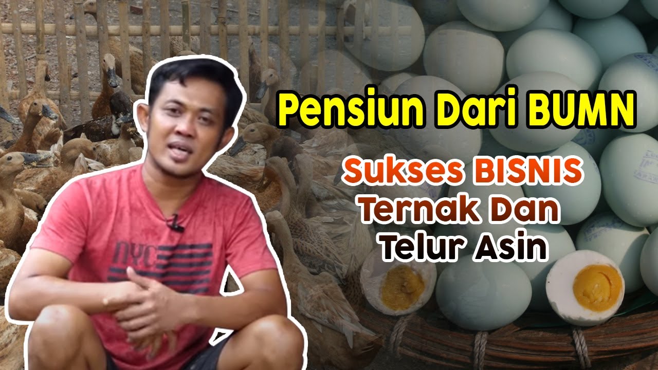 POJOK INSPIRASI -  PENSIUN DINI DARI BUMN, SUKSES BISNIS TERNAK BEBEK DAN JURAGAN TELUR ASIN