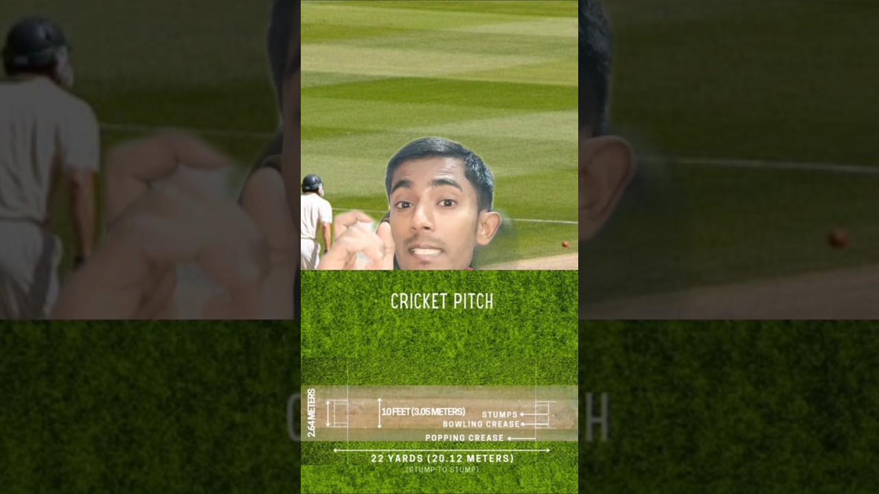 Why cricket pitch length 22 yard?#informativevideos#shortsvideo#viralvideo#factshorts#youtubeshorts