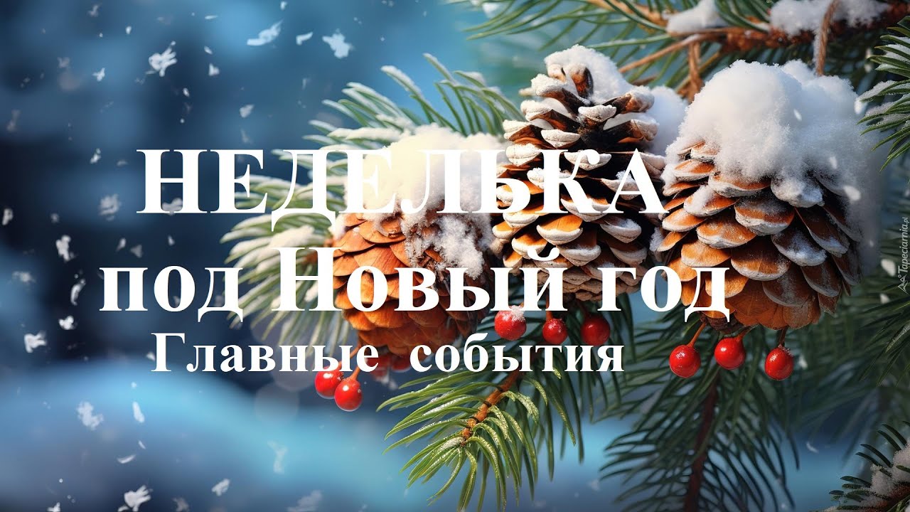 ГЛАВНЫЕ СОБЫТИЯ. Новогодняя неделька.   Татьяна Шаманова.