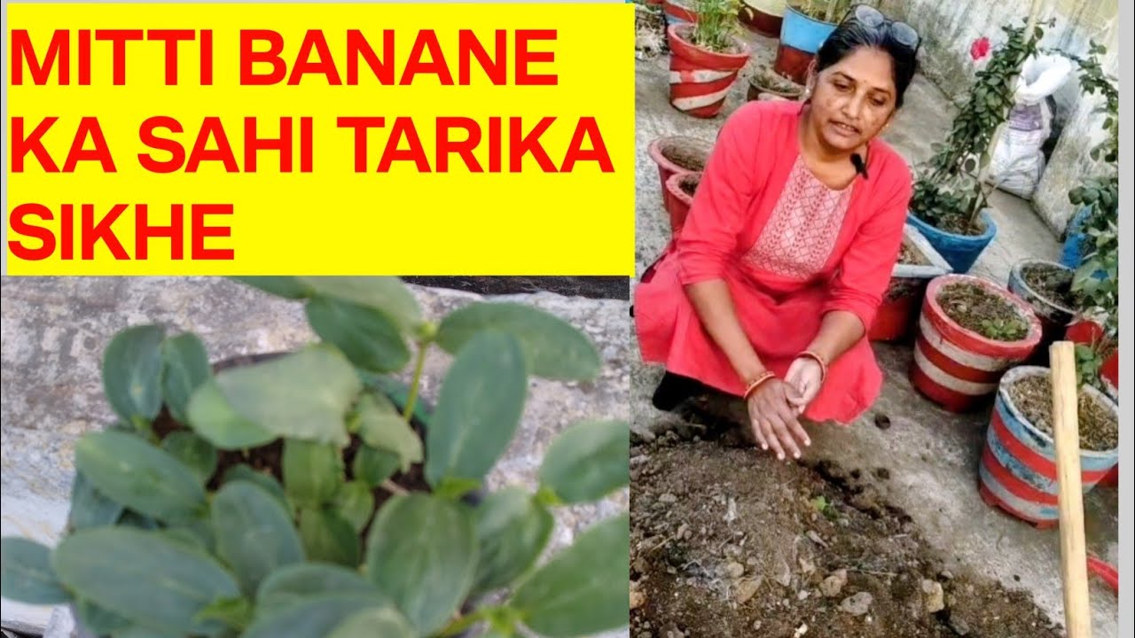 गार्डनिंग के लिए परफेक्ट (soil mix )कैसे बनाएं?