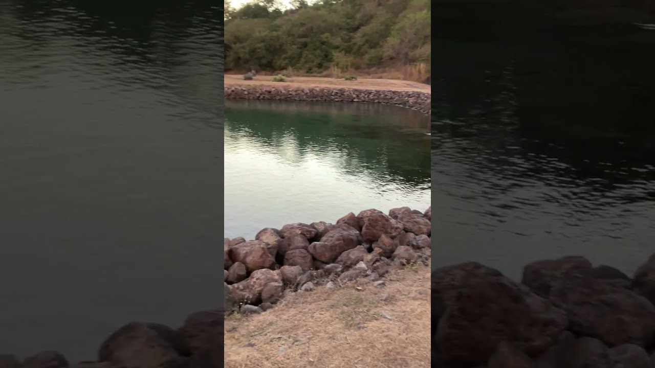 No Swimming #swimming #travel #vacation #warning #dumb #amusing #thoughts #reality #real #explain