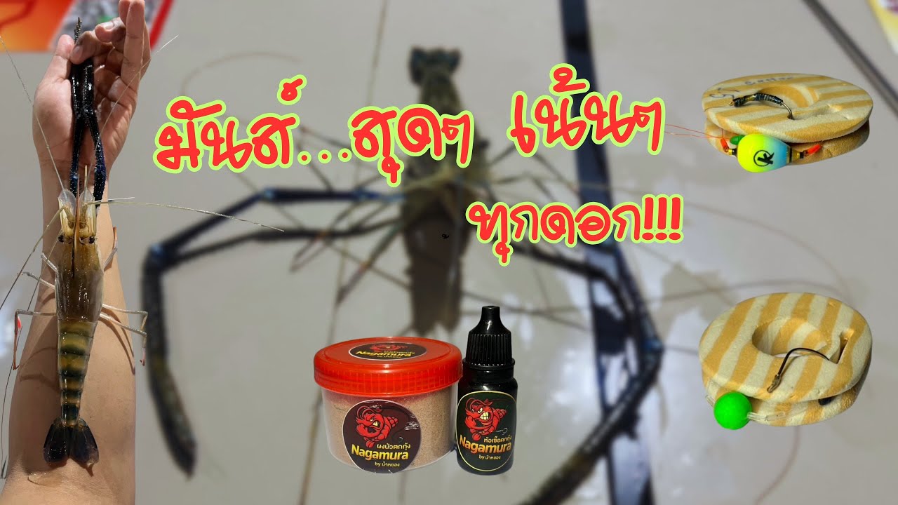 Ep.36 ตกกุ้งบ่อ ใครแพ้เสียค่าคัน ตกกุ้งชุดเบาต่อตรง + หัวเชื้อ Nagamura 