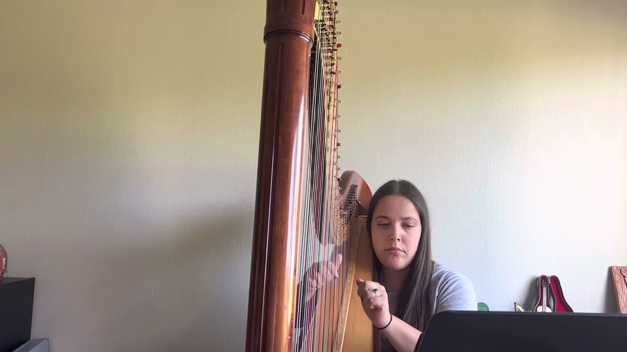 Barbie and the 12 Dancing Princesses- Harp