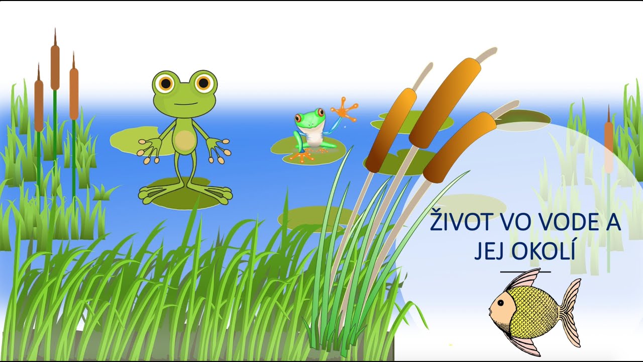 Život pri vode |maminask :)