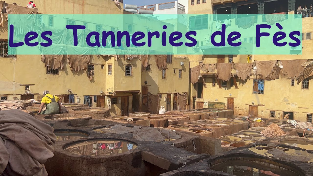 Carnet de voyages 35 Les tanneries de Fès