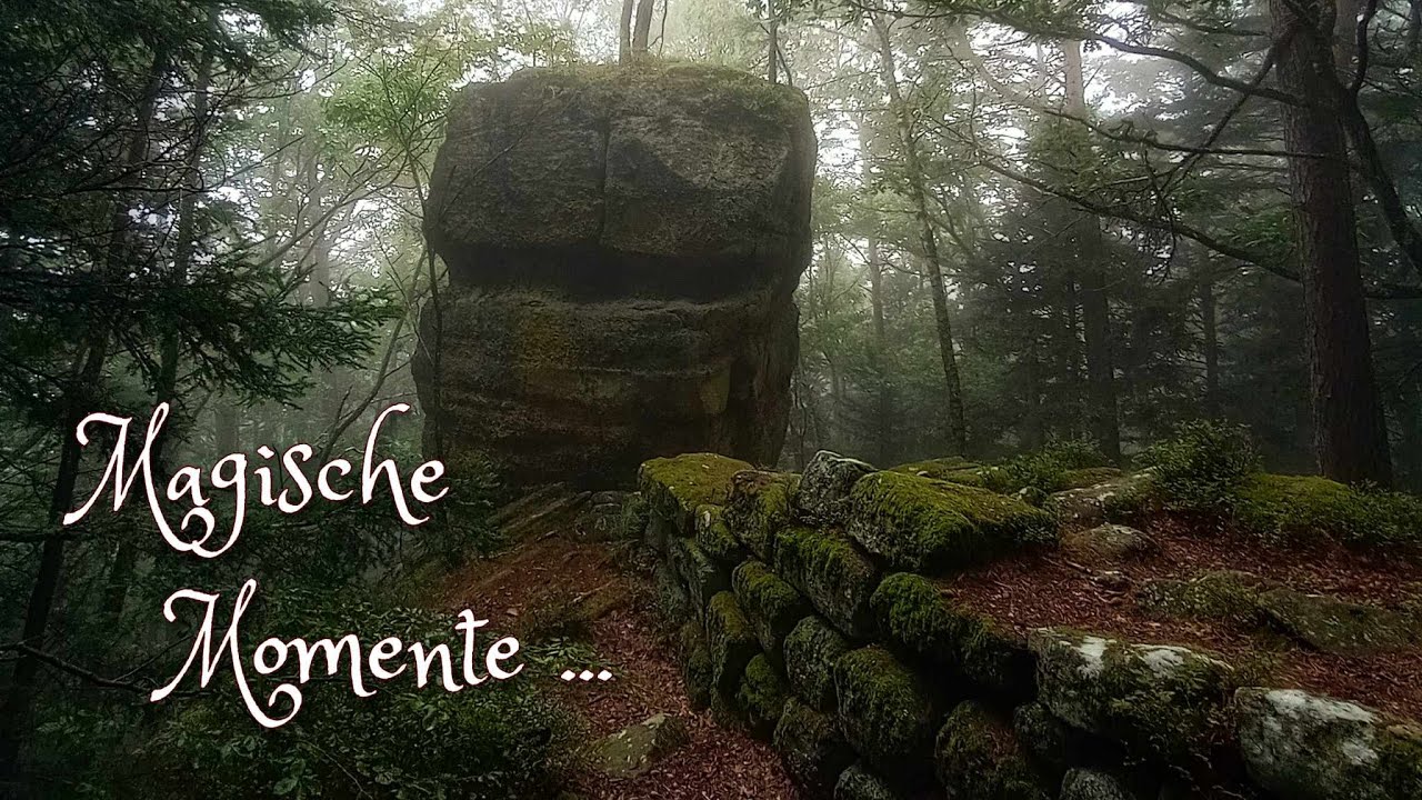 Die Heidenmauer auf dem Odilienberg im Nebel, Druiden-Dolmen, Schalensteine, Tumuli 🧚‍♀