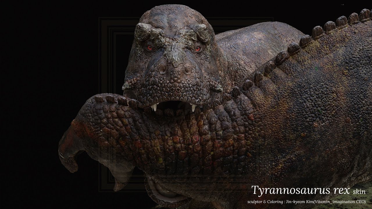 The world's largest Tyrannosaurus Rex