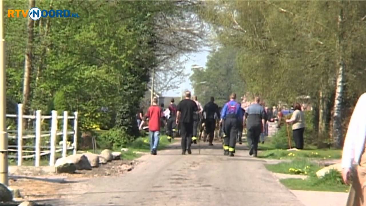 Losgebroken koeien zorgen voor ravage