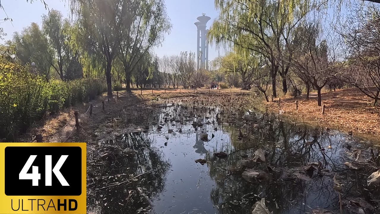 Олимпийский лесной парк Пекин, Китай &ndash; пешеходная экскурсия &ndash; 4K