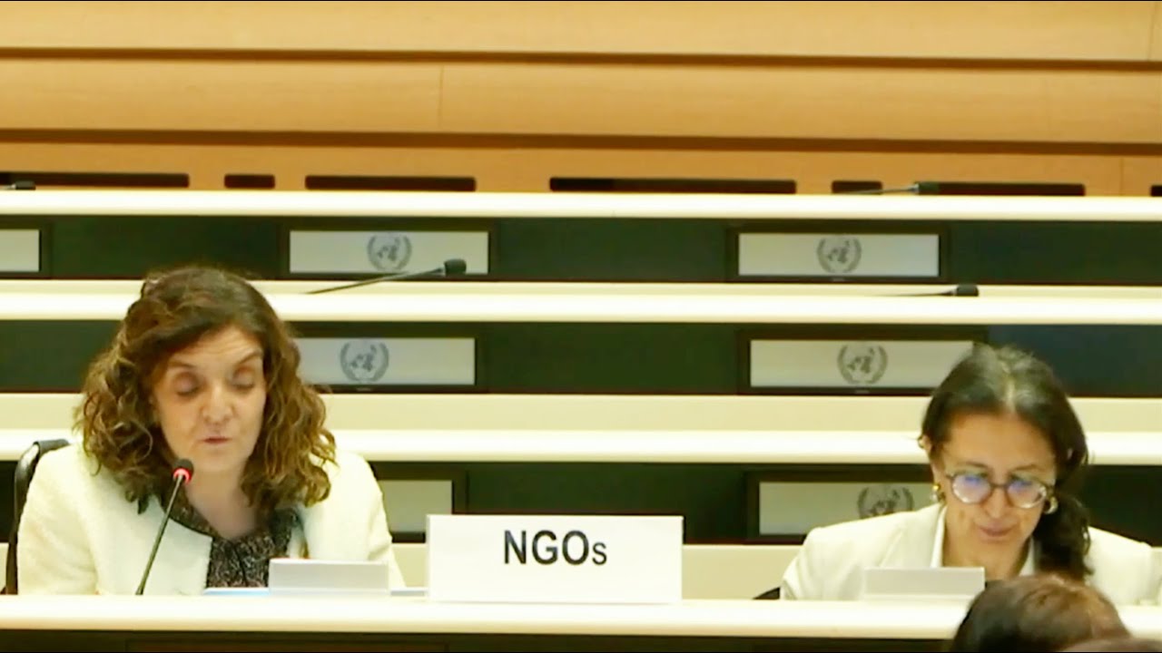 Solcom ante el Comité sobre los Derechos de las Personas con Discapacidad