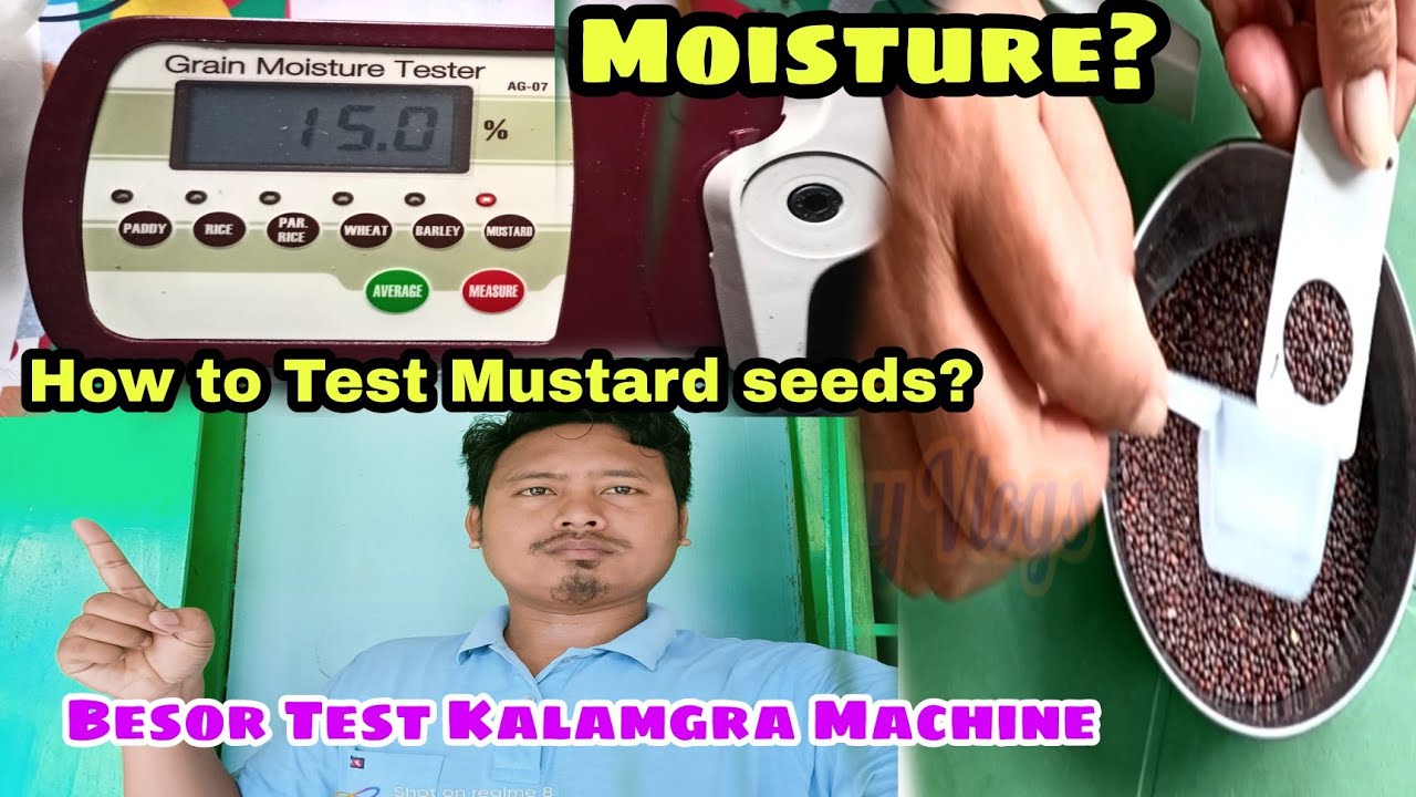 How to test moisture of Mustard seeds? Mabwrwi besorni dwikwo nayw? Grain Testing Machine #share