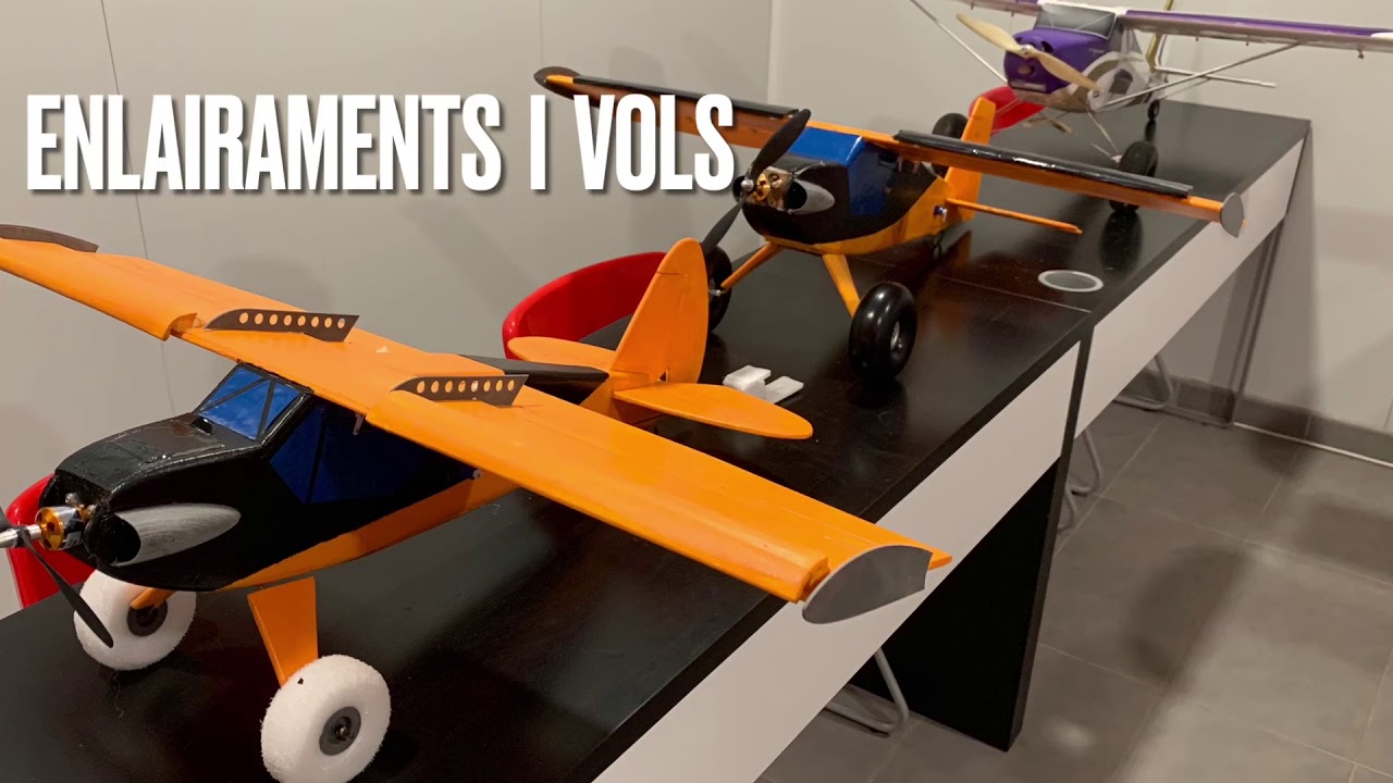 Buschtrottel RC Plane