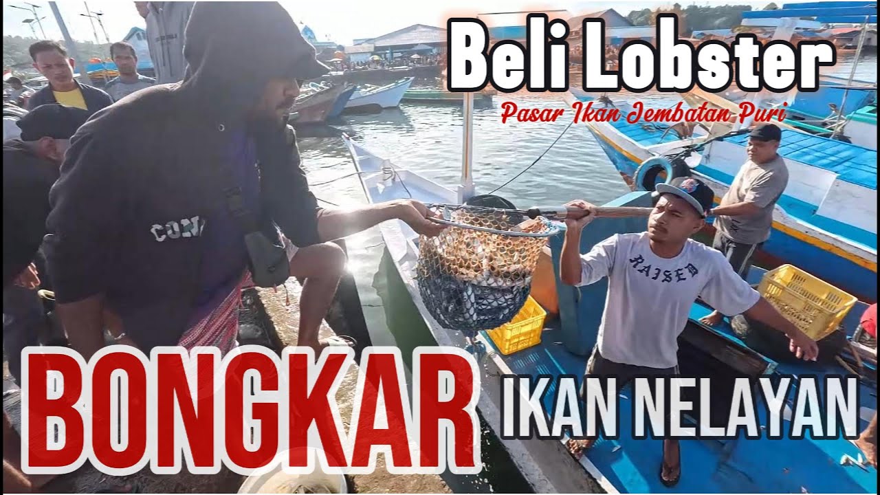 Beli Kerang Dapat Lobster di Pasar Ikan Jembatan Puri Sorong. Cek Bongkar Ikan Nelayan - 0035 #papua