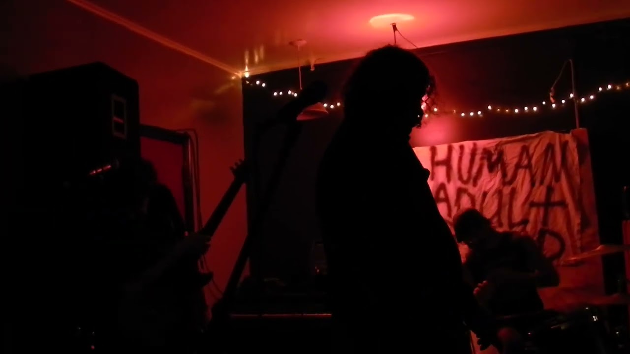 Human Adult Band at In The West