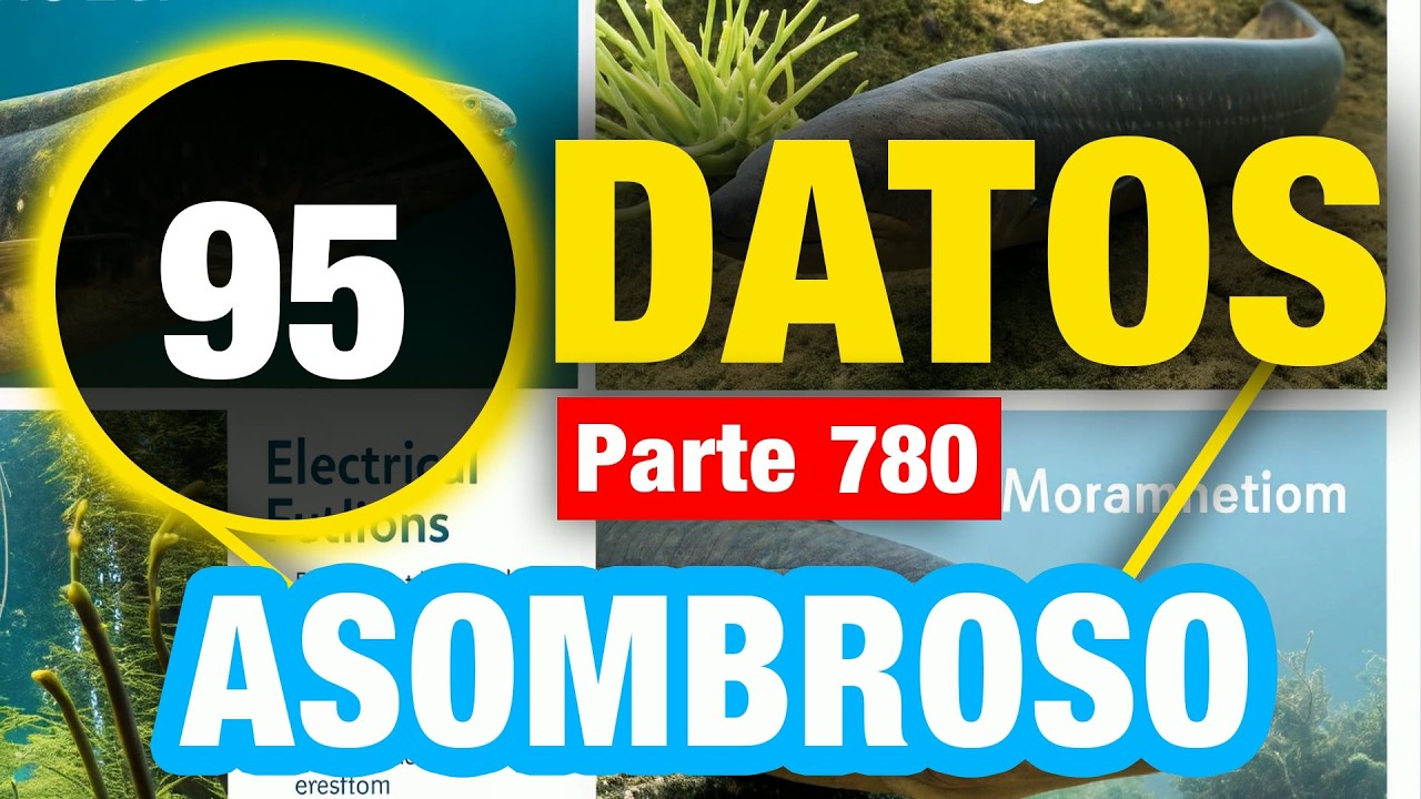 95 Datos Grandiosos Difíciles de Creer
