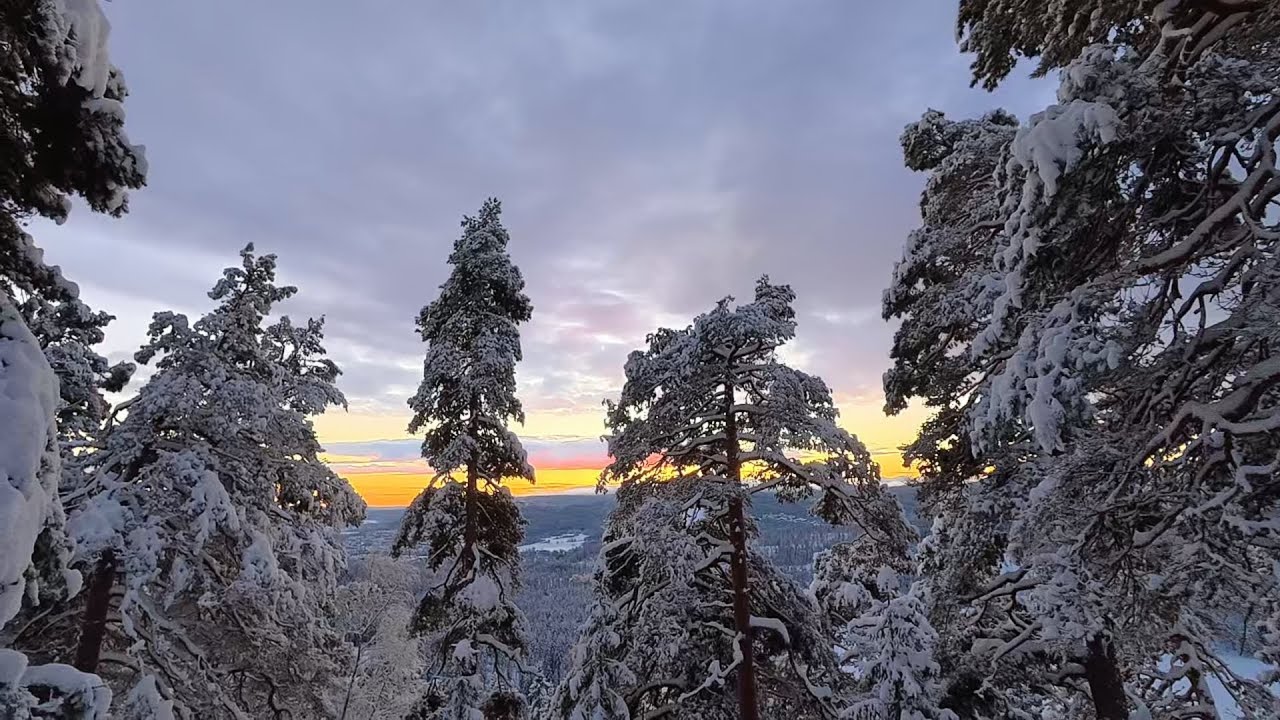 Hiking in the Norwegian magical winter forest trail breaking in deep snow