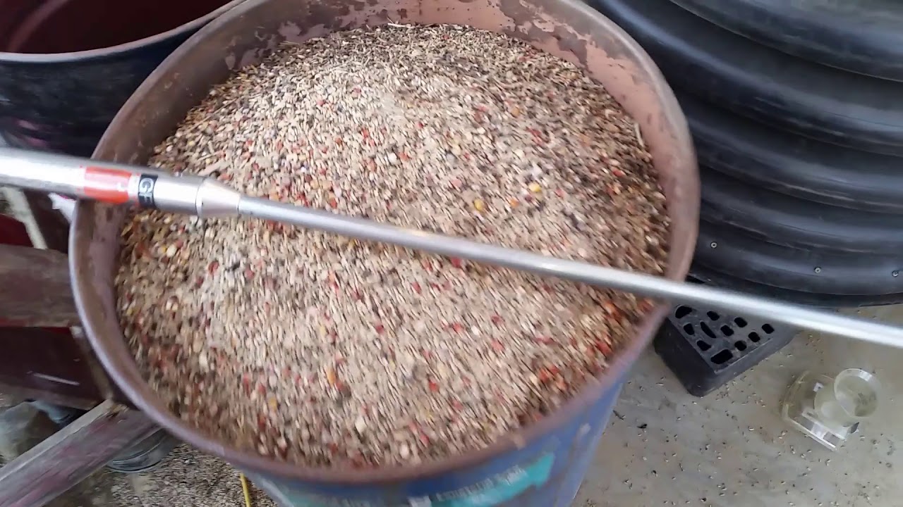 Grain Drying Small Scale Pallet Bin Dry Down Experiment