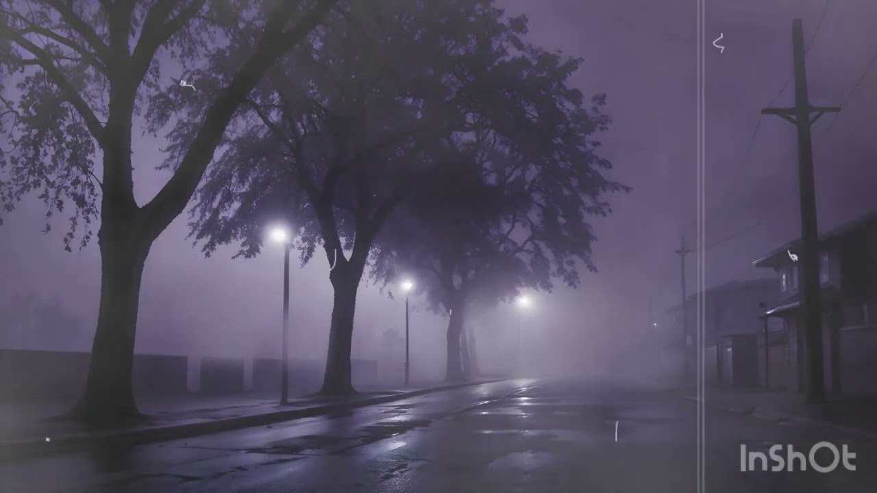 Nyxxie - ain’t chasin’