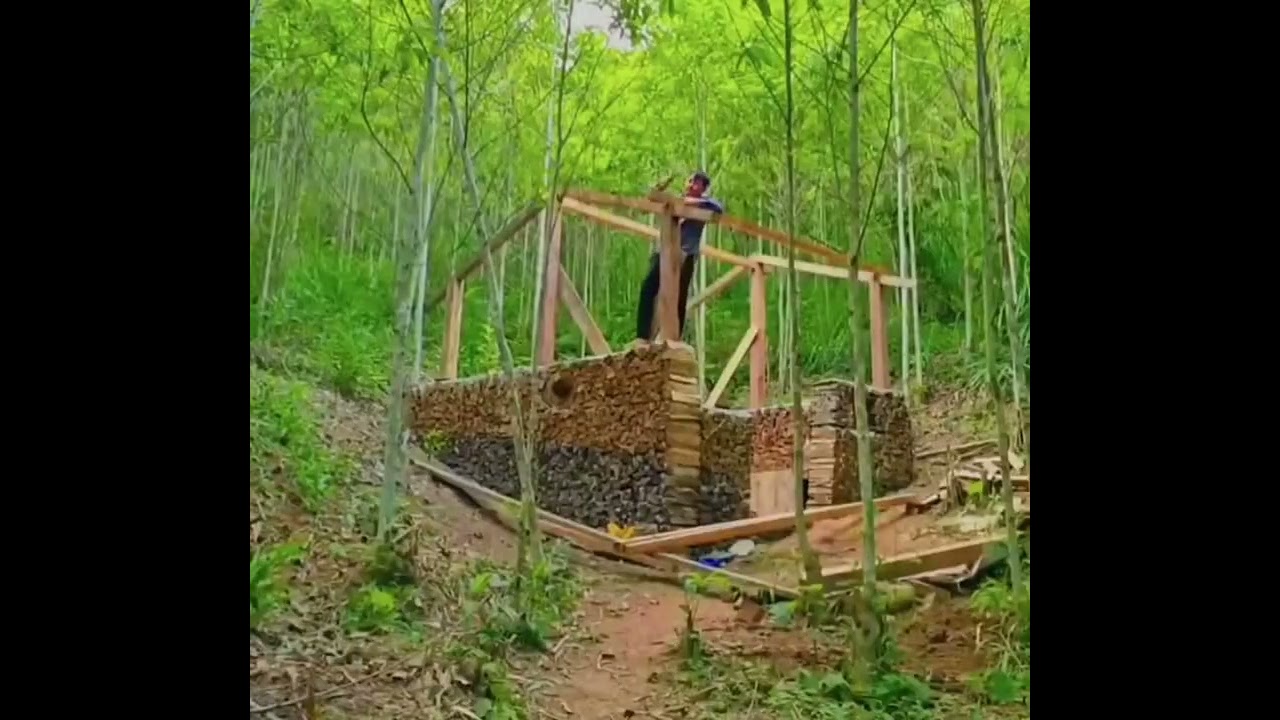 Rain Night Building a Hidden Forest Home 