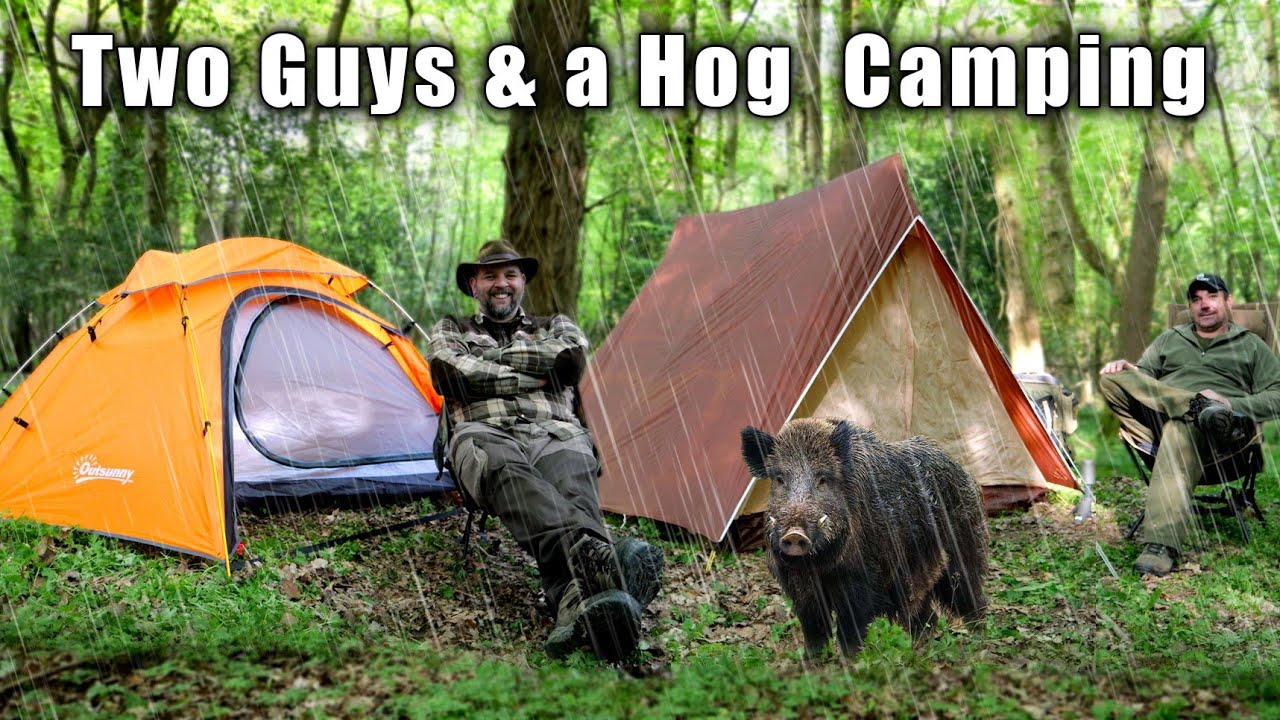 Strange Noises Whilst Woodland Camping