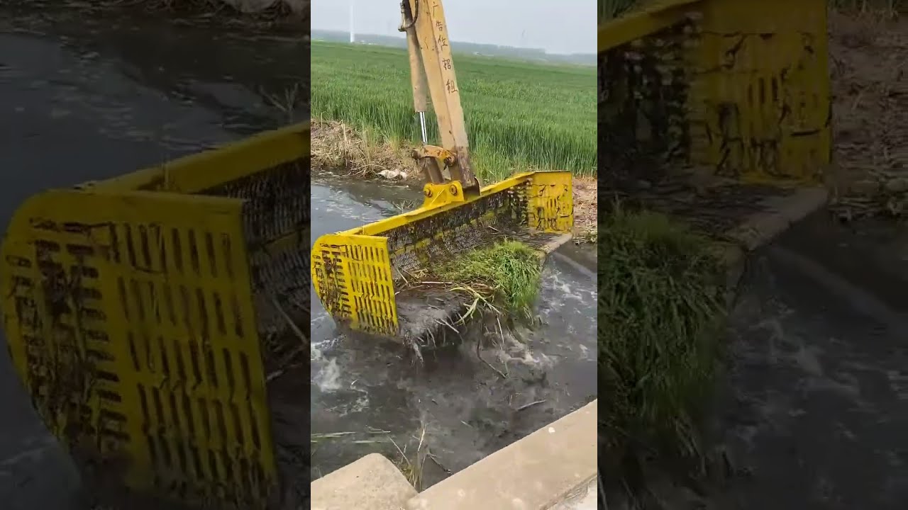Fish  🦈🎣  Caught by JCB in the River 