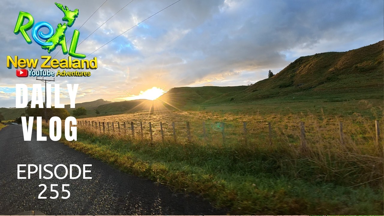 Back to Hamilton for Trish's appointments [Life in New Zealand season 2#255]