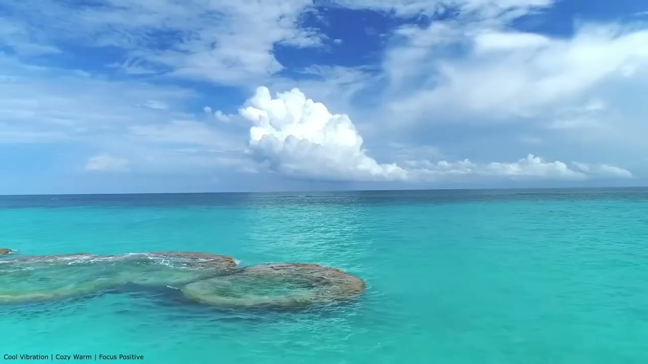 Lofi Tropical Vibe | Beach Music | Chill Relaxing