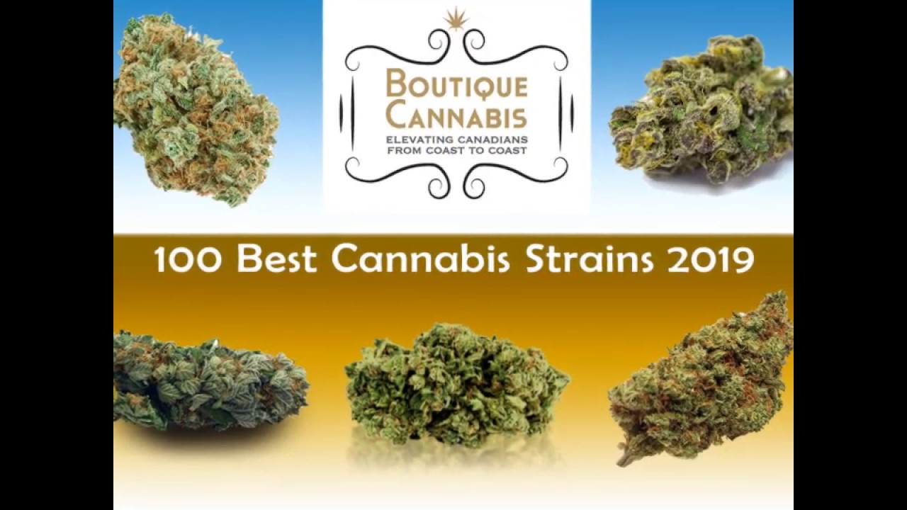 100 Best Strains for 2019 - Boutique Cannabis