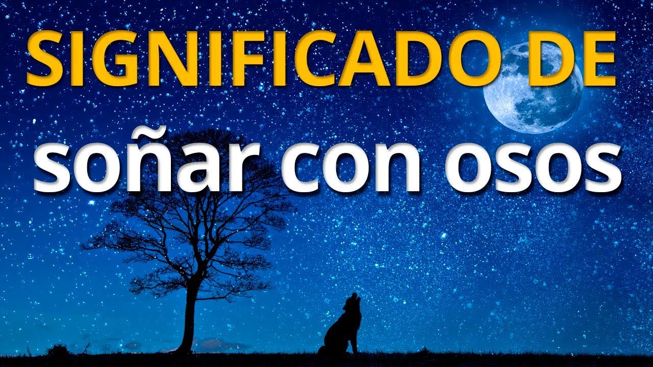 Qu&eacute; significa so&ntilde;ar con osos 💤 Interpretaci&oacute;n de los Sue&ntilde;os