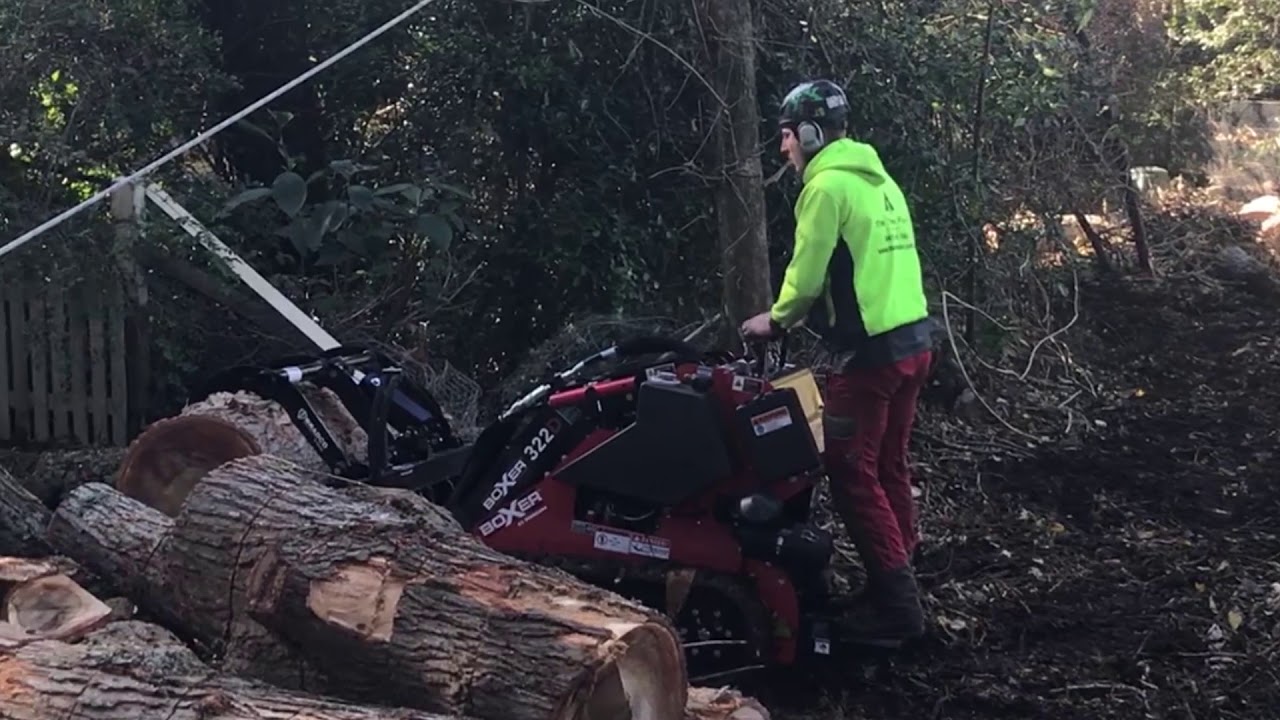 Boxer 322D Mini Skid Steer