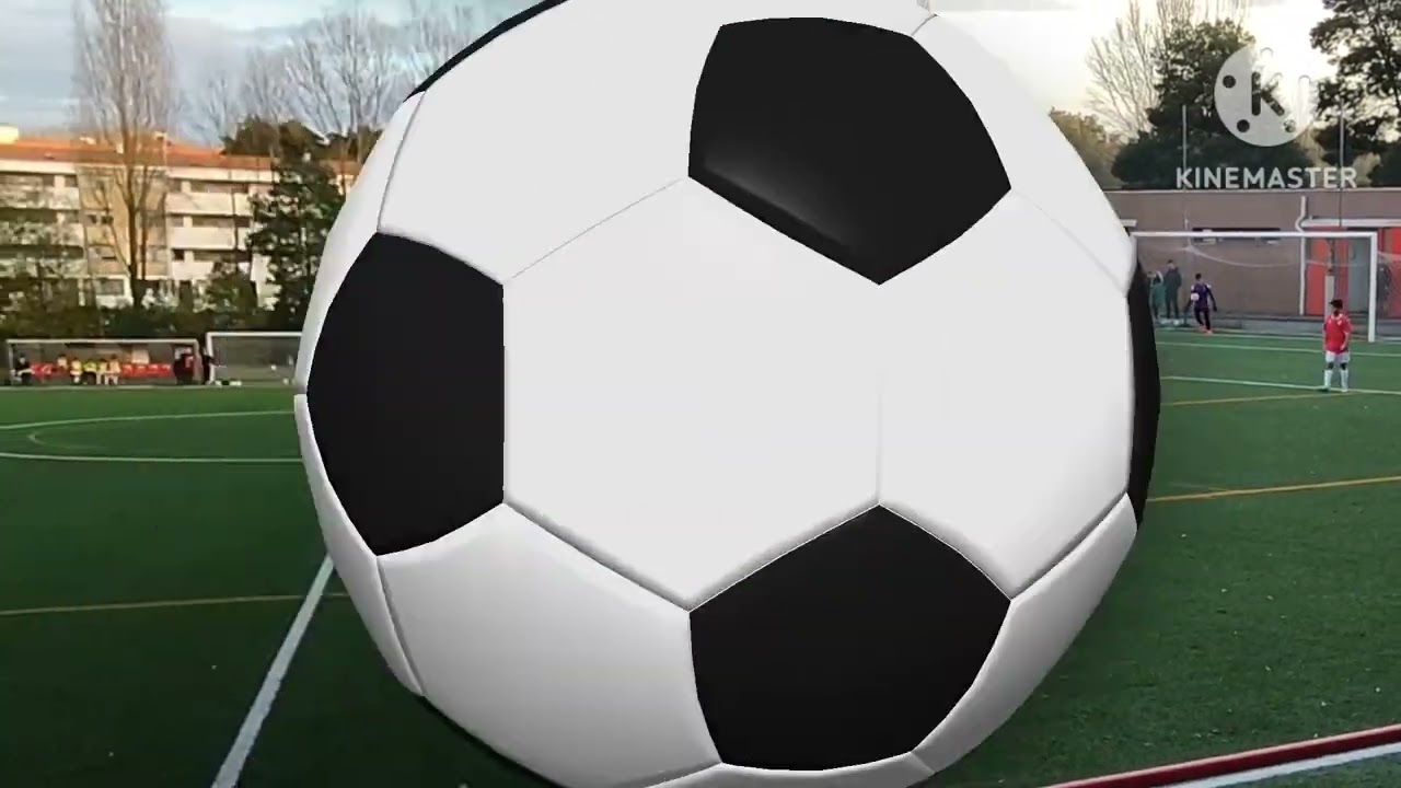 SCSalgueiros 0 - 3 Para&iacute;so S.C. Foz