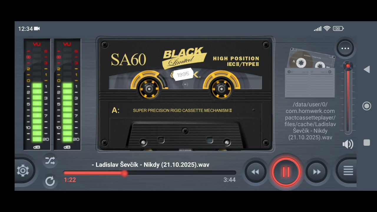 Ladislav Ševčík - Nikdy