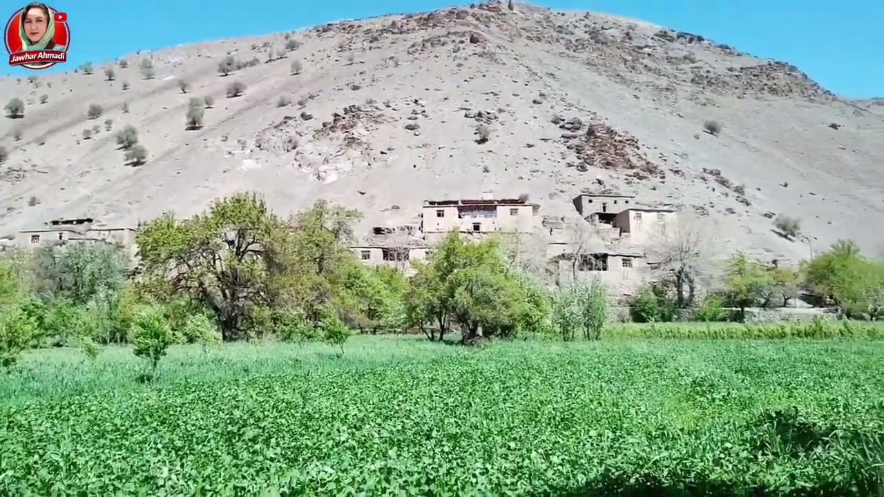 دایکندی، سرزمین صبر و غیرت است؛ جایی که دل‌های ساده، کوه‌ها را نرم می‌سازد و رنج، به عزت تبدیل مشود.