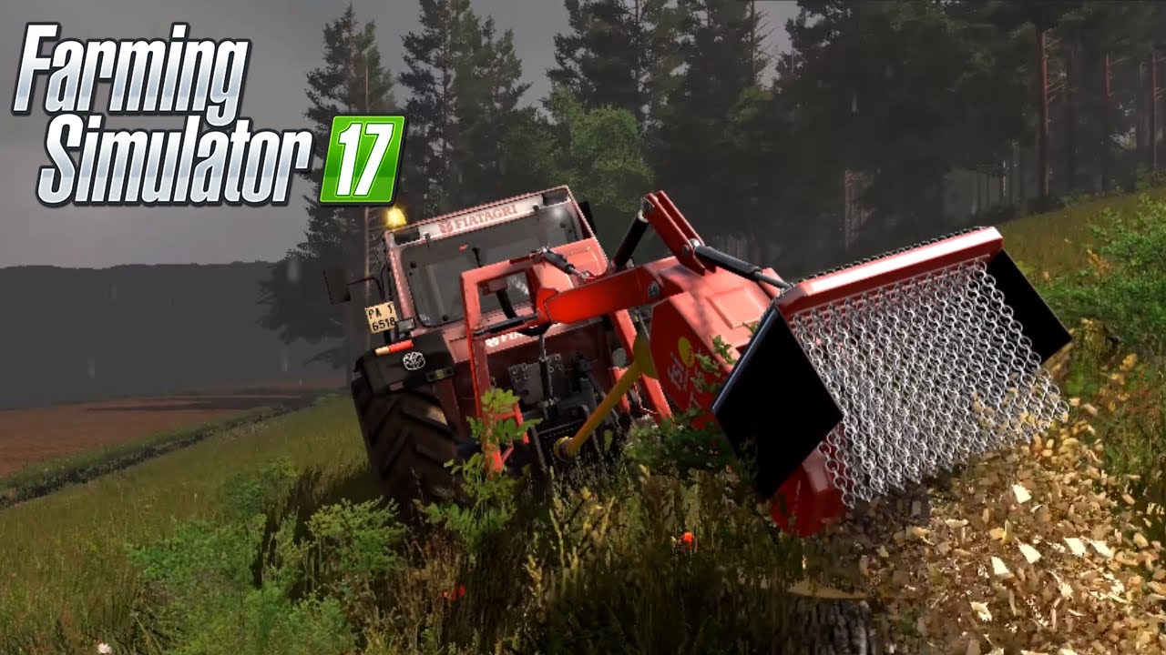 FS17 STAPPENBACH 4K #64 - LEGNA VENDUTA RIPIANTIAMO ALBERI - GAMEPLAY ITA