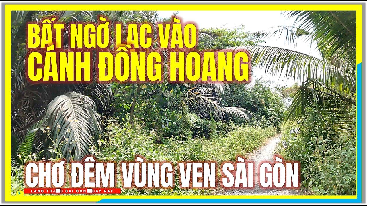 Sài Gòn BẤT NGỜ LẠC VÀO CÁNH ĐỒNG HOANG SÔNG CHỢ ĐỆM | CHỢ ĐỆM BÌNH CHÁNH VÙNG VEN SÀI GÒN