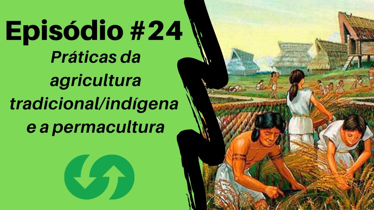 Episódio #24 - Práticas Indígenas vs. Permacultura: Lições para a Sustentabilidade