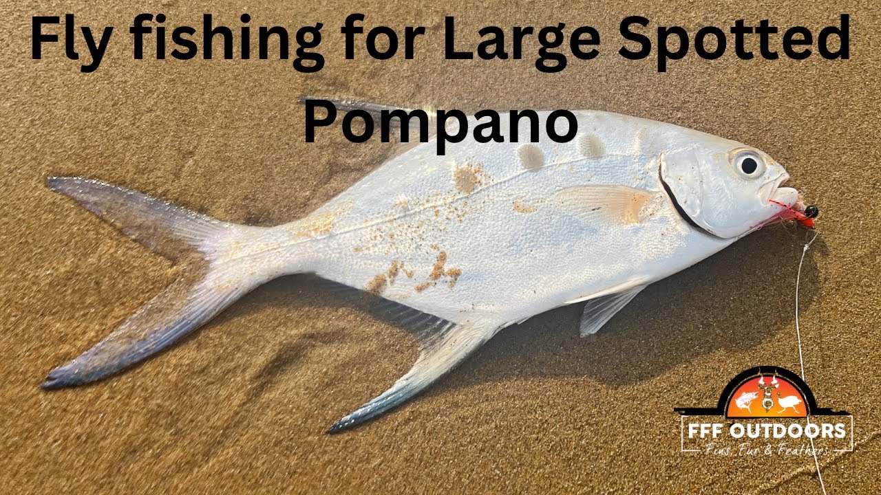 Fly fishing for Large Spotted Pompano on Durban beach #fffoutdoors #saltwaterflyfishing