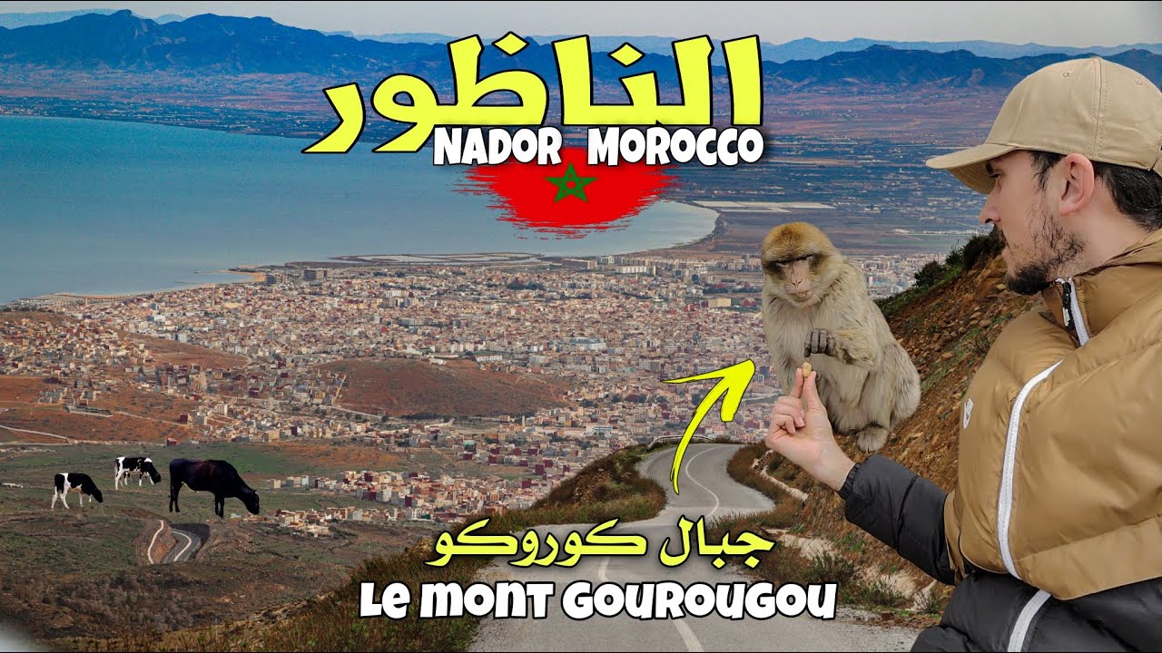 الناظور جمال الطبيعة الجبلية ولقاء ممتع مع قردة كوروكو 🇲🇦 Gourougou Nador